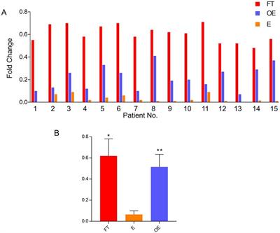 Fallopian tubal histogenesis of ovarian endometriosis—A study of folate receptor-alpha expression